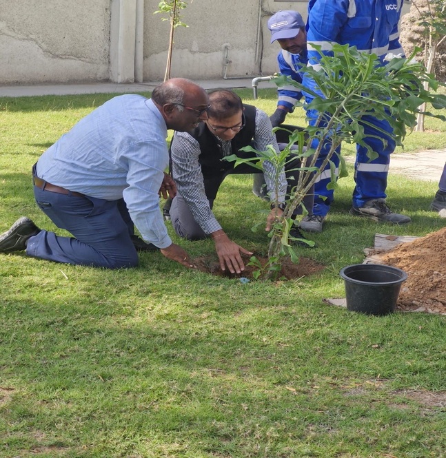 Plantation